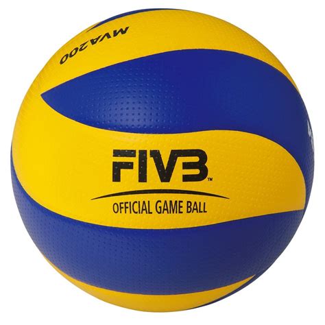 world's most expensive volleyball
